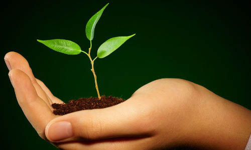 Enseignant PNL certifié IN