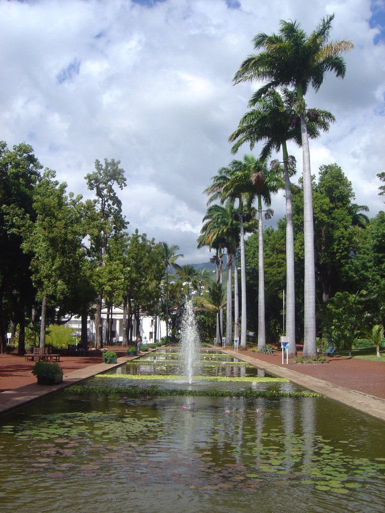 Formation PNL Et Hypnose A Saint-Denis (La Réunion)