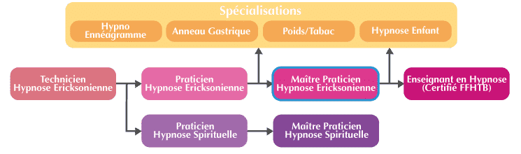 Maître Praticien Hypnose Organigramme
