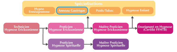 formation anneau gastrique hypnotique organigramme formation anneau gastrique hypnotique organigramme