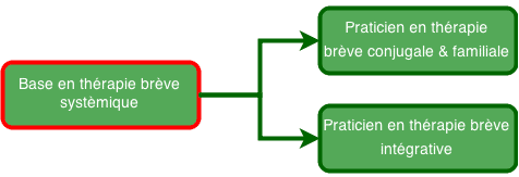 Praticien Thérapie Brève Systémique Praticien Thérapie Brève Systémique Organigramme