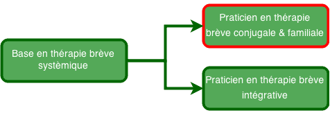 Praticien en Thérapie Brève Conjugale et Familiale Praticien en Thérapie Brève Conjugale et Familiale Organigramme