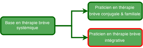 Praticien Thérapie Brève Intégrative Praticien Thérapie Brève Intégrative Organigramme