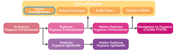 Formation Praticien Hypnose Formation Hypno-Ennéagramme Organigramme