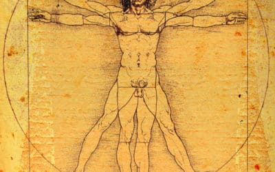 Formation Hypno-Sophrologue