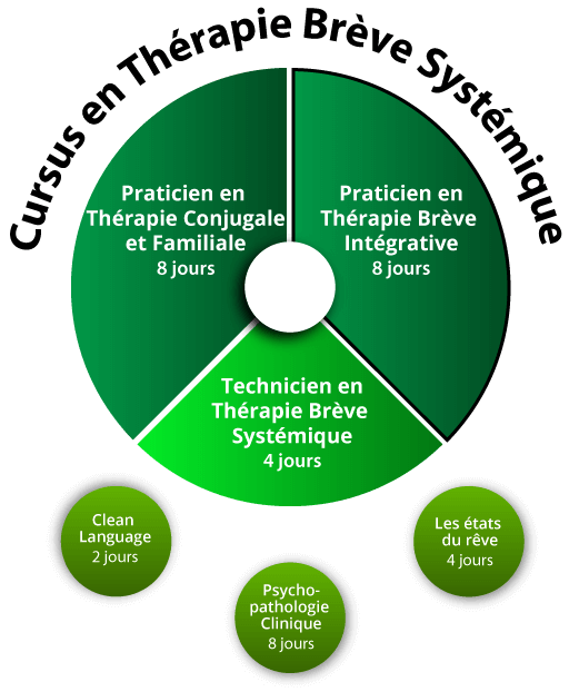 Praticien Thérapie Brève Intégrative