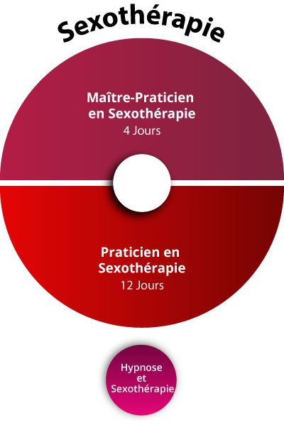 Formations Thérapies Brèves sexotherapie