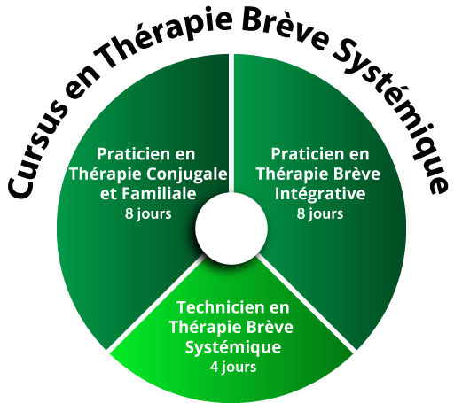 Praticien Thérapie Brève Intégrative