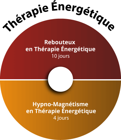 Formation Thérapie Énergétique