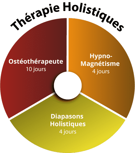 therapie_holistiques psynapse