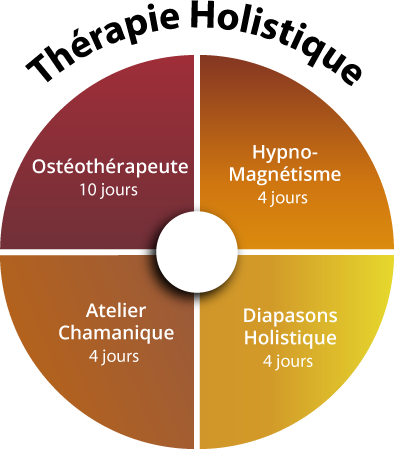 organigrame_holistique thérapie holistique psynapse